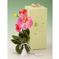 Подарок на день святого Валентина (день влюбленных)  Саше "Орхидея"